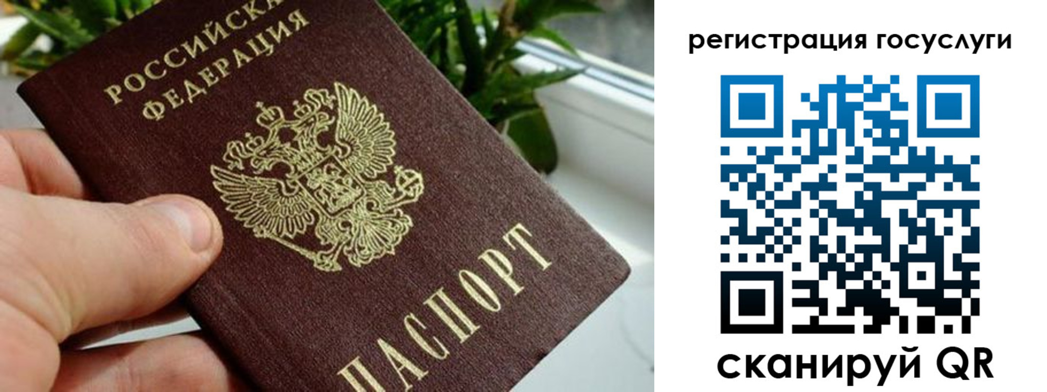 прописка для кредита в Элисте